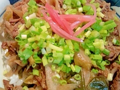 野菜たっぷり！うちの牛丼